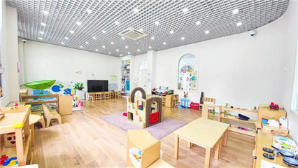 聚焦0-3歲嬰幼兒照護服務，共筑科學育兒新生態——上海研討會圓滿召開
